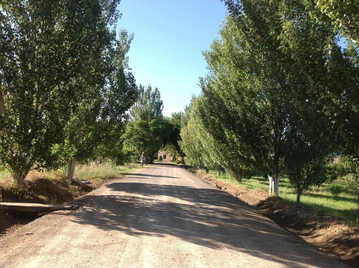 Finca El Consul ログローニョ エクステリア 写真