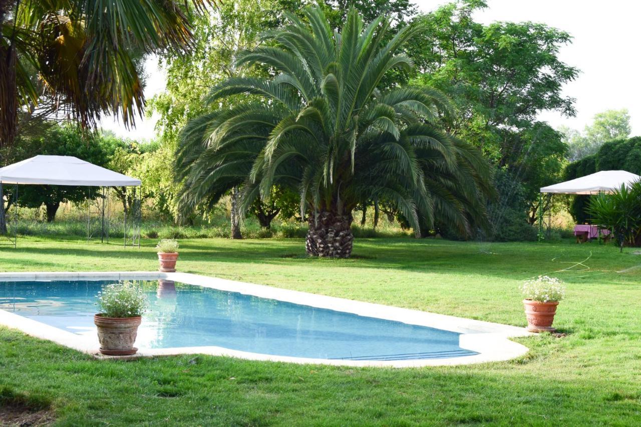 Finca El Consul ログローニョ エクステリア 写真