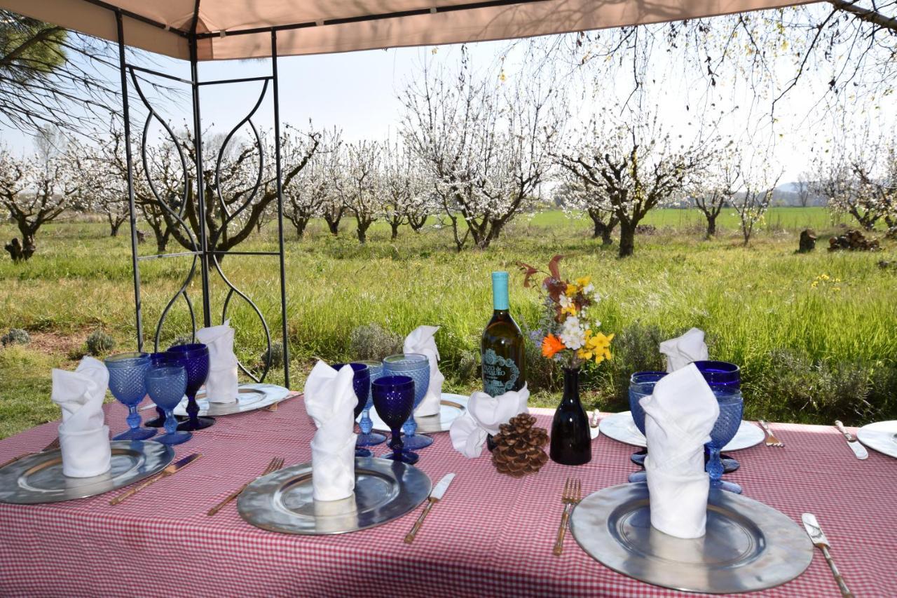 Finca El Consul ログローニョ エクステリア 写真
